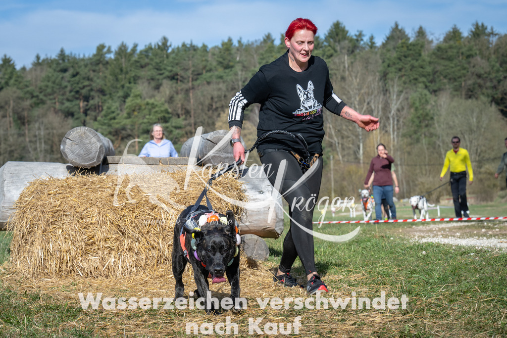 0935_ZZ94360 | kk-dogfotos