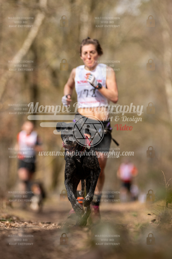 SPA_2023_SAM_CCL-128 | PayLife