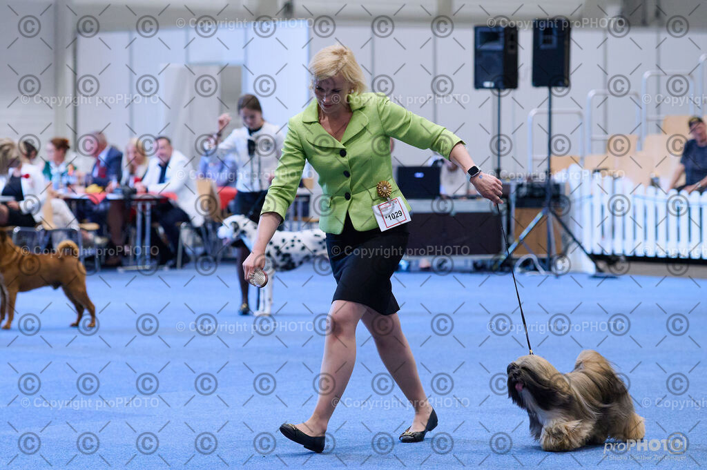 202406_ÖKV-IHA-Tulln24_DSC_4395 | proPHOTO - Realisiert mit Pictrs.com