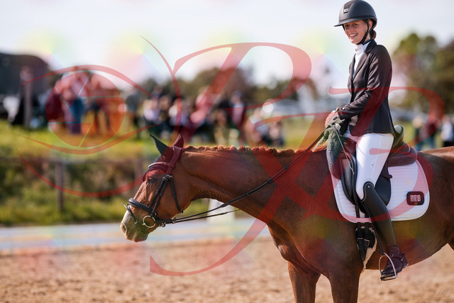 2026_10_03_Siefer-Hof_133324_Z81_92371378 | Professionelle Reitsport-, Turnier- und Eventfotografie von Robert Broda. Galerien mit ausgewählten und bearbeiteten Bildern direkt online ansehen und bestellen.