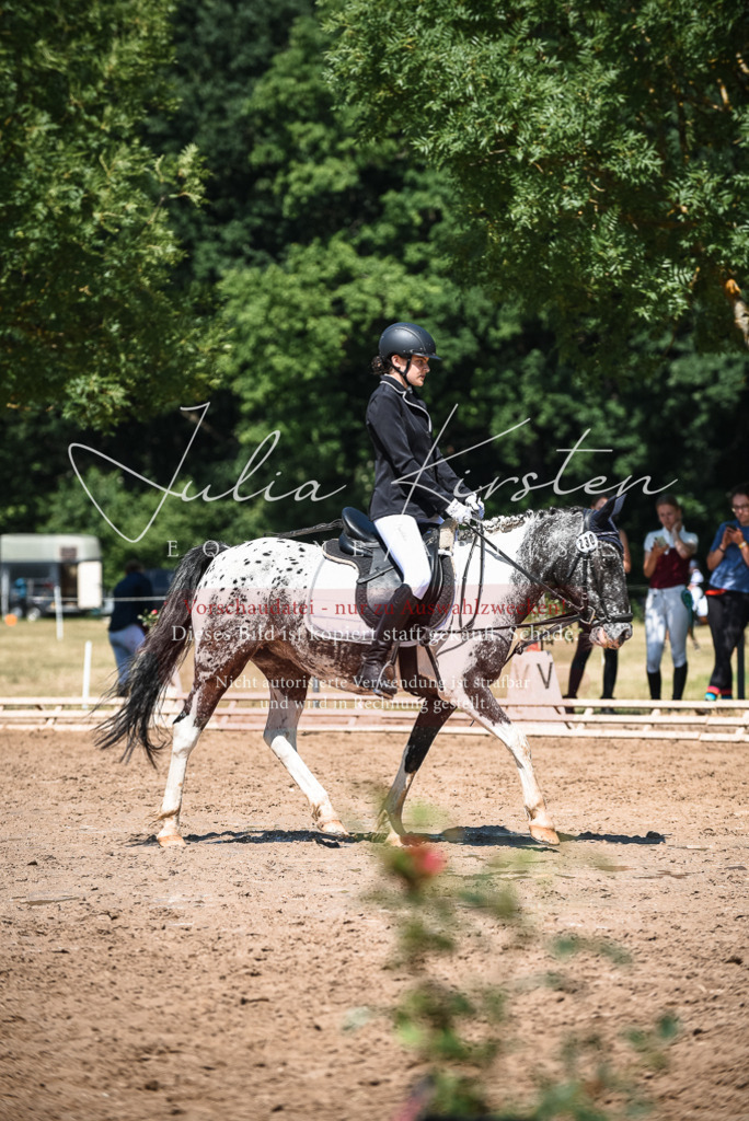 DSC_3214 | Pferde- und Turnierfotografie in Westsachsen. Pferdeportraits, Auftragszeichnungen und intuitive Kunst.