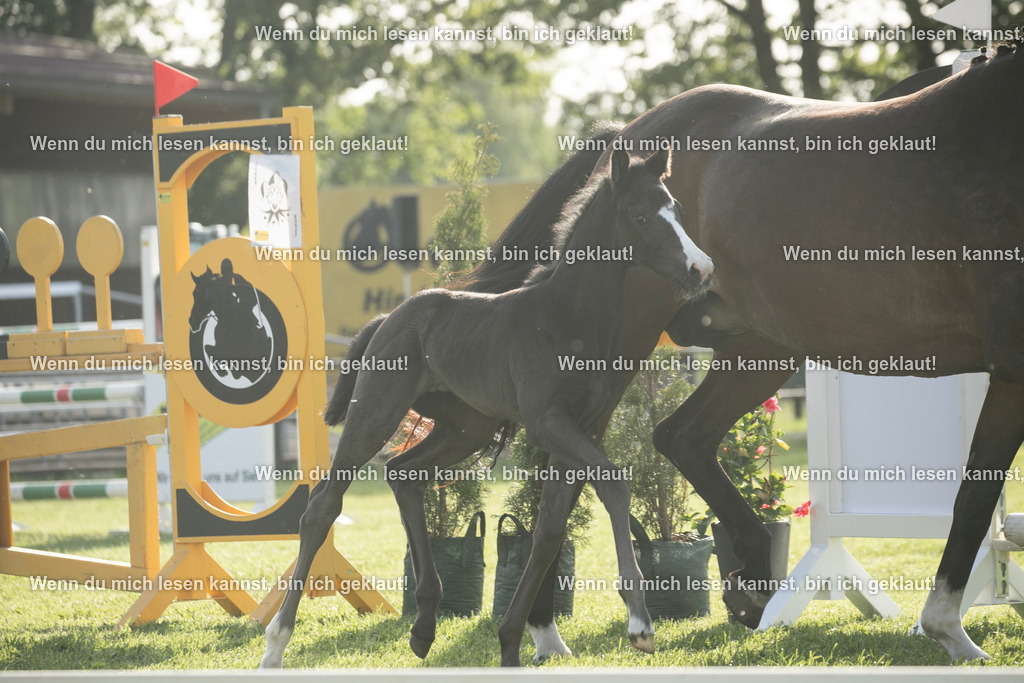 598A7454 | photographylinaismer - Realisiert mit Pictrs.com