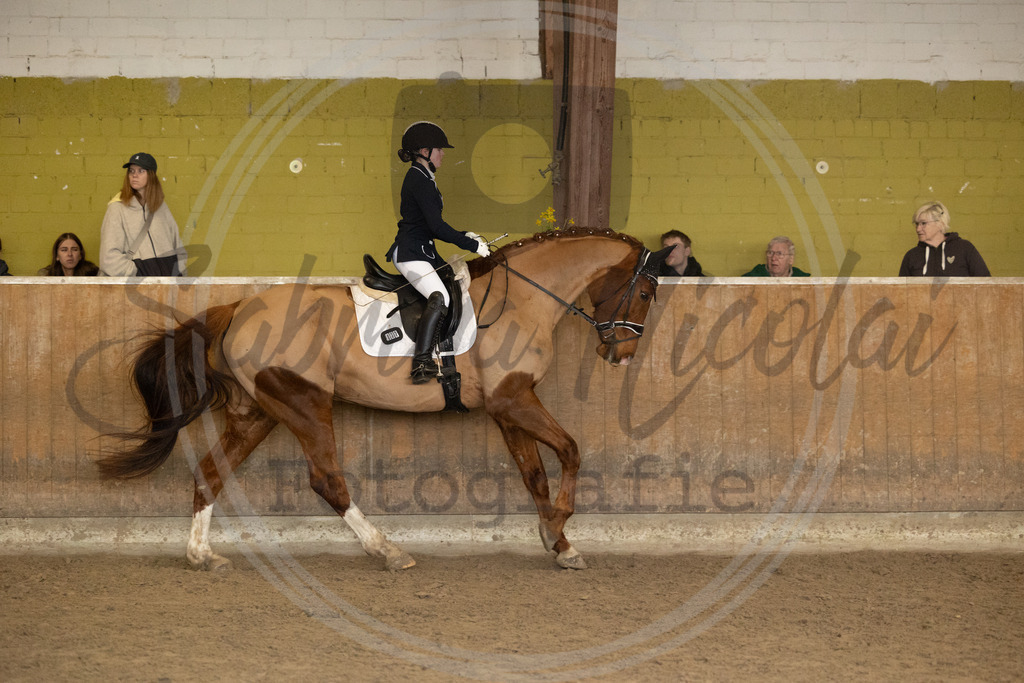 994A8901 | sabrinanicolaifotografie - Realisiert mit Pictrs.com