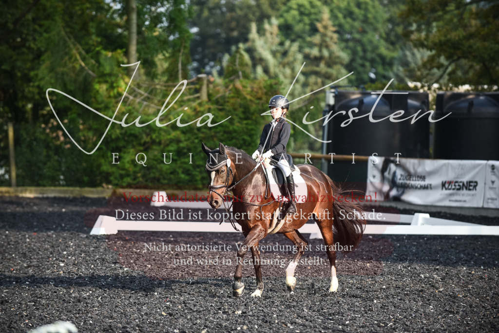 DSC_3533 | Pferde- und Turnierfotografie in Westsachsen. Pferdeportraits, Auftragszeichnungen und intuitive Kunst.