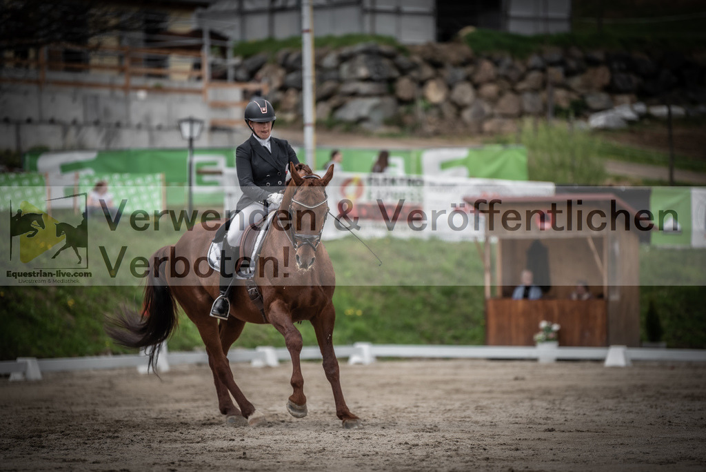 DSC_2621 | equestrian-live-com
