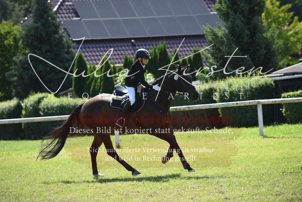 DSC_9380 | Pferde- und Turnierfotografie in Westsachsen. Pferdeportraits, Auftragszeichnungen und intuitive Kunst.