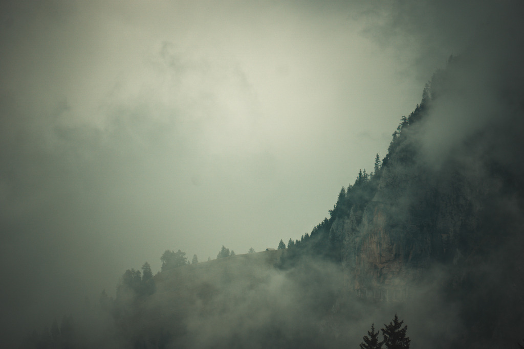 _DSC7876 | <meta name="keywords" content="Bergbilder, Hochzeitsfotografie, Actionshootings, Fotografiearbeiten, Berglandschaften, Naturfotografie">

 - Realisiert mit Pictrs.com