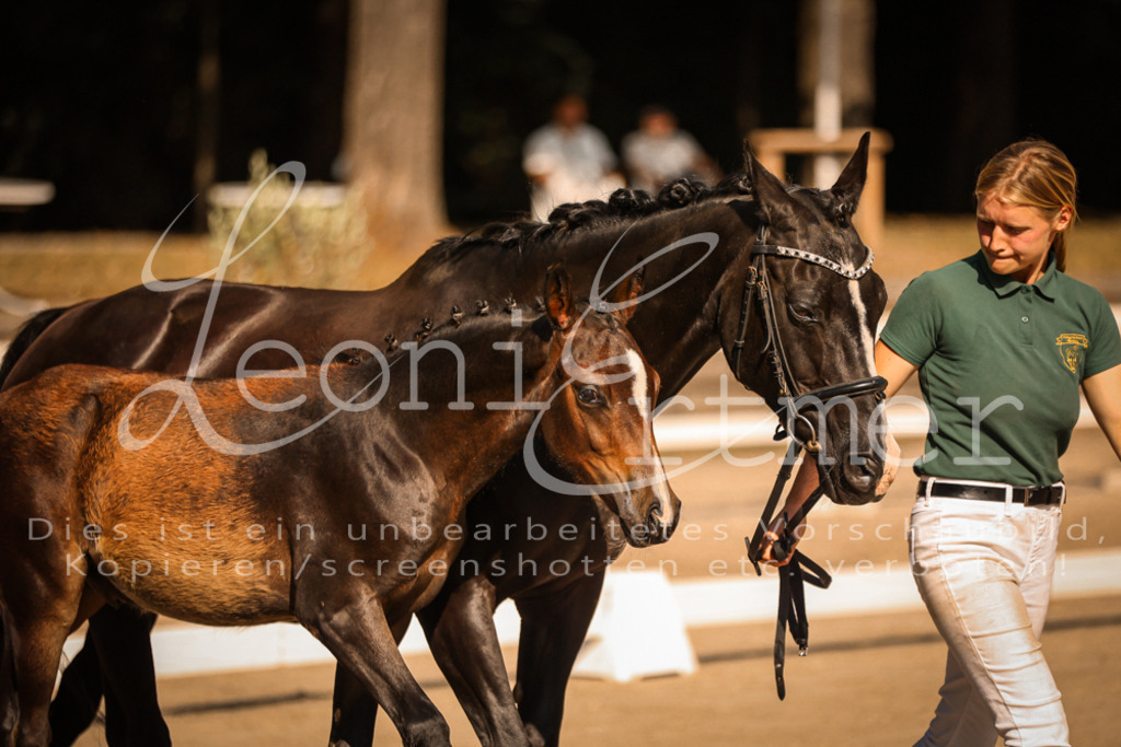 11.DoRP00052 | Leoni Ertmer Photography - Realisiert mit Pictrs.com