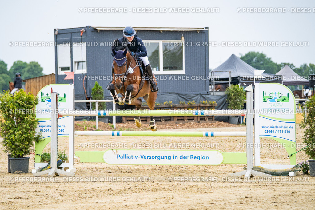 DSC07827 | Pferdegrafie