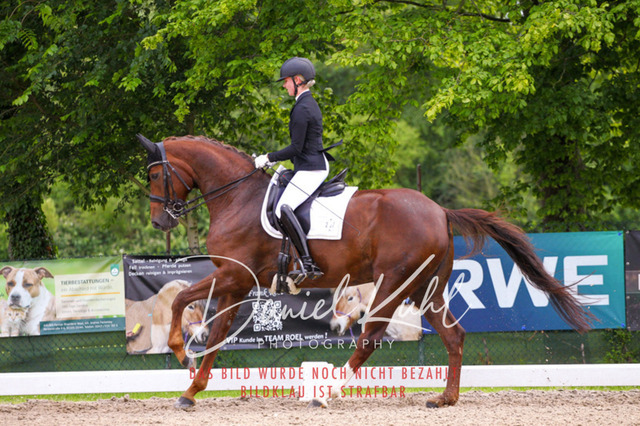 DKP41205 | Turnierfotos kaufen im Webshop von Daniel Kuhl Photography – entdecke professionelle Reitsportfotos aus Turnieren & Events. Hochwertige Turnierbilder online bestellen & sichern. Jetzt Fotos von Reitsportturnieren kaufen!