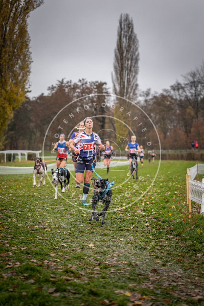 CaniXpix_DV3A9033 | Hundefotografie, Tierfotograf, Pfotenfotografie, Fotoshooting Hund, Hunde Portrait, Hundesport, Hundeportraits, Heideshooting, Hunde, Sportfotograf, Hundefotograf, Turnierhundsport, THS,  - Realisiert mit Pictrs.com