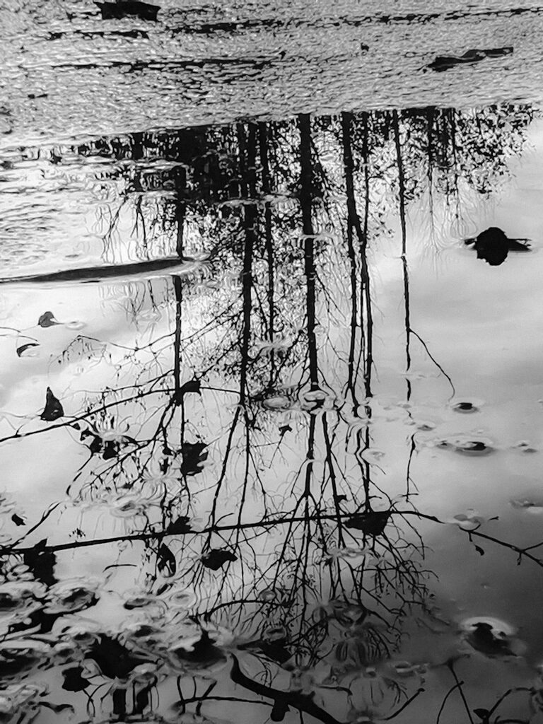 PSX_20221016_233146 | mtkfoto_ - Realisiert mit Pictrs.com