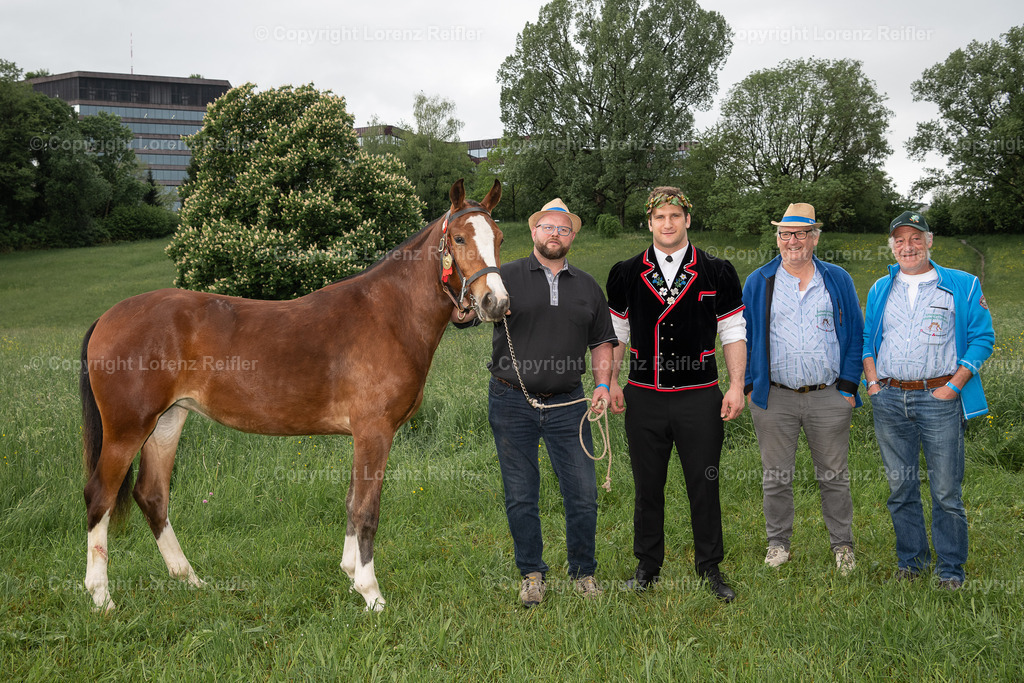 Schwingen -  Zürcher Kantonal 2023 | Zürich Allmend, 14.5.23, Schwingen - Zürcher Kantonal.