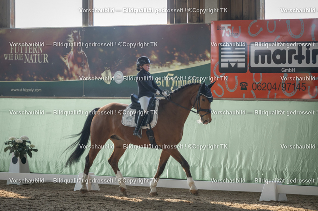 _D5A8195 | Emotionale Pferde- & People-Fotografie rund um Heidelberg, Leimen & Umgebung. Natürliche Fotos von Pferd, Mensch & Familie. Jetzt Termin sichern!