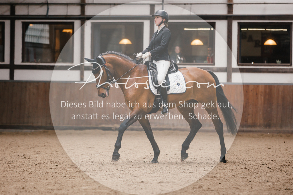 3I6A7216 | Stimmungsvolle Portraits und Reitsportfotografie im Ruhrgebiet und im Münsterland.

Pferdefotografie, Hundefotografie, Tierfotografie, Reportagen, Portraits von Tier und Mensch, Turnierfotografie in Bochum, Recklinghausen, Marl, Haltern am See, Dülmen.. - Realisiert mit Pictrs.com