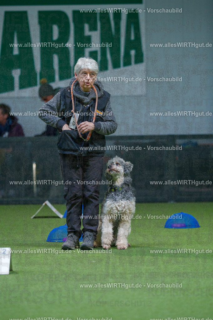 7R501256 | Professionelle Tierfotografie in Mönchengladbach von Daniel Wirth (allesWIRTHgut). Liebevolle & natürliche Bilder von Hunden & Katzen für unvergessliche Erinnerungen.