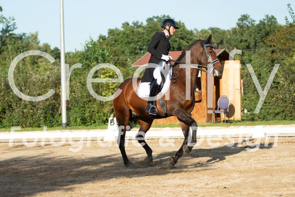 IMG_6180 | Creatify Fotografie