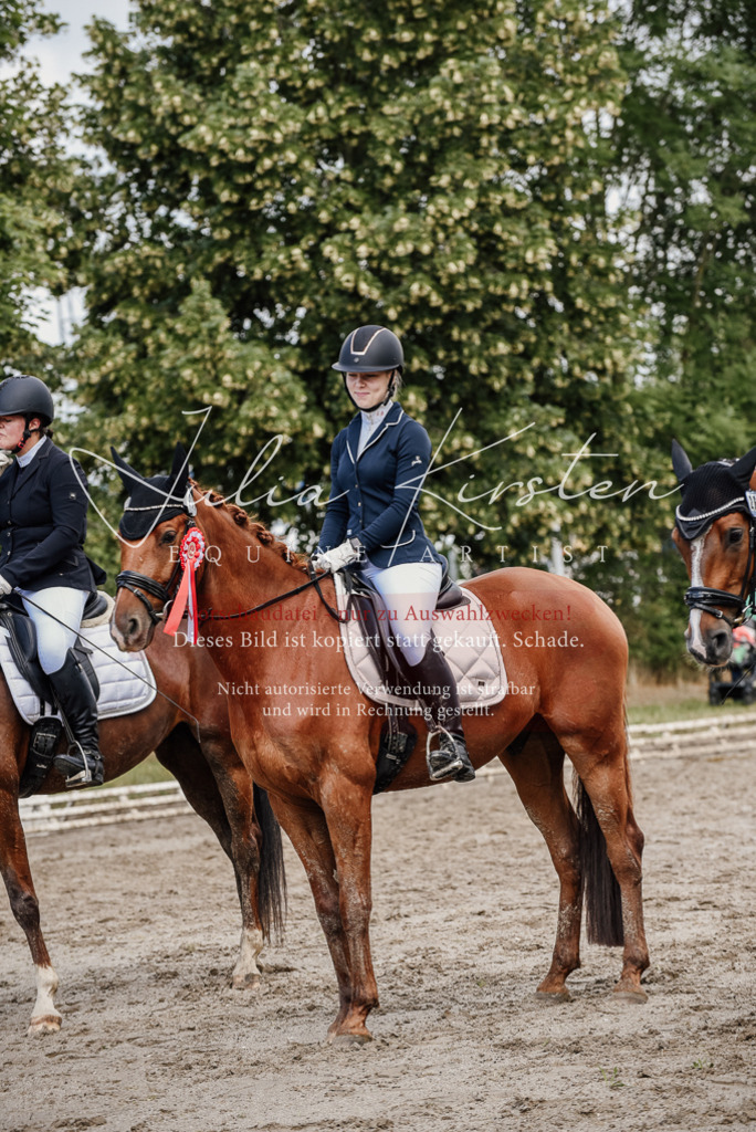 DSC_9364 | Pferde- und Turnierfotografie in Westsachsen. Pferdeportraits, Auftragszeichnungen und intuitive Kunst.