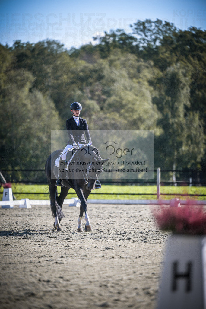 DOS_2428 | Entdecke hochwertige Reitturnierfotos von Foto Oger. Professionell, emotional und authentisch – jetzt Lieblingsmomente im Shop bestellen.Deutschlandweite Turnierfotografie. - Realisiert mit Pictrs.com