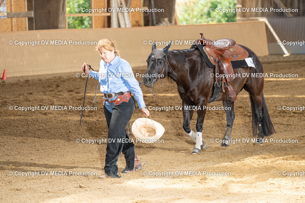 DSC00038-2 | dv-media-shop - Realisiert mit Pictrs.com