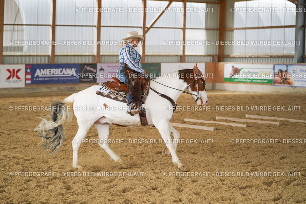 DSC03614 | Pferdegrafie