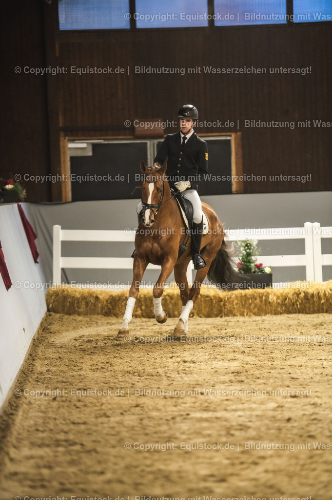 20240302_Hengstvorstellung_Marbach_TOMsPiC_0353 | equistock