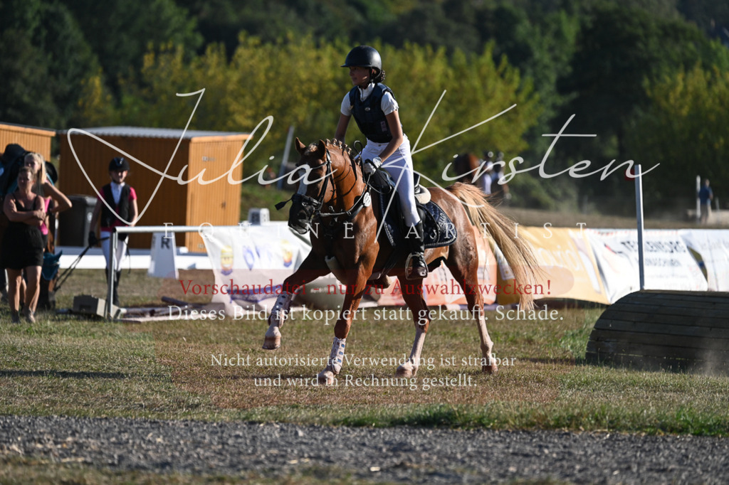 DSC_9077 | Pferde- und Turnierfotografie in Westsachsen. Pferdeportraits, Auftragszeichnungen und intuitive Kunst.