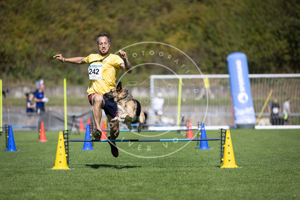 Pfotenfotografie_DV3A5952 | Hundefotografie, Tierfotograf, Pfotenfotografie, Fotoshooting Hund, Hunde Portrait, Hundesport, Hundeportraits, Heideshooting, Hunde, Sportfotograf, Hundefotograf, Turnierhundsport, THS,  - Realisiert mit Pictrs.com