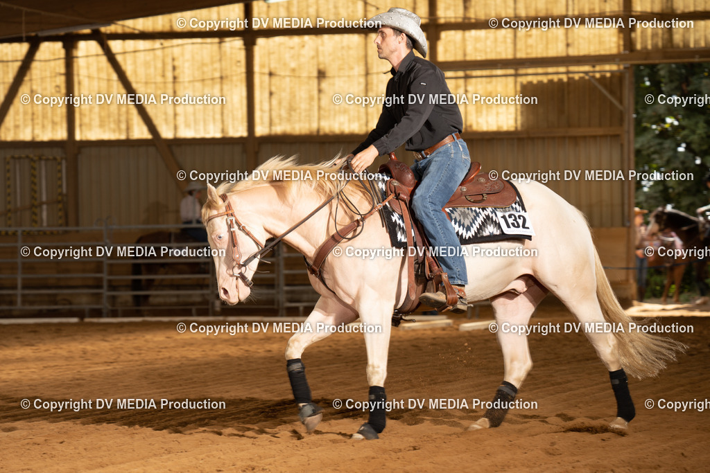 NID01860 | dv-media-shop - Realisiert mit Pictrs.com