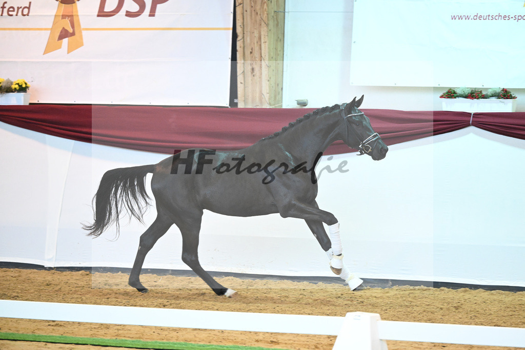Kat-Nr. 25 v. Donier_Koch_66220272 | hf-fotografie - Realisiert mit Pictrs.com