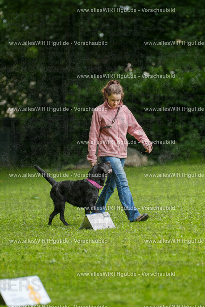 @allesWIRTHgut_Tierfotografie - www.allesWIRTHgut.de - 7R503089 | Professionelle Tierfotografie in Mönchengladbach von Daniel Wirth (allesWIRTHgut). Liebevolle & natürliche Bilder von Hunden & Katzen für unvergessliche Erinnerungen.