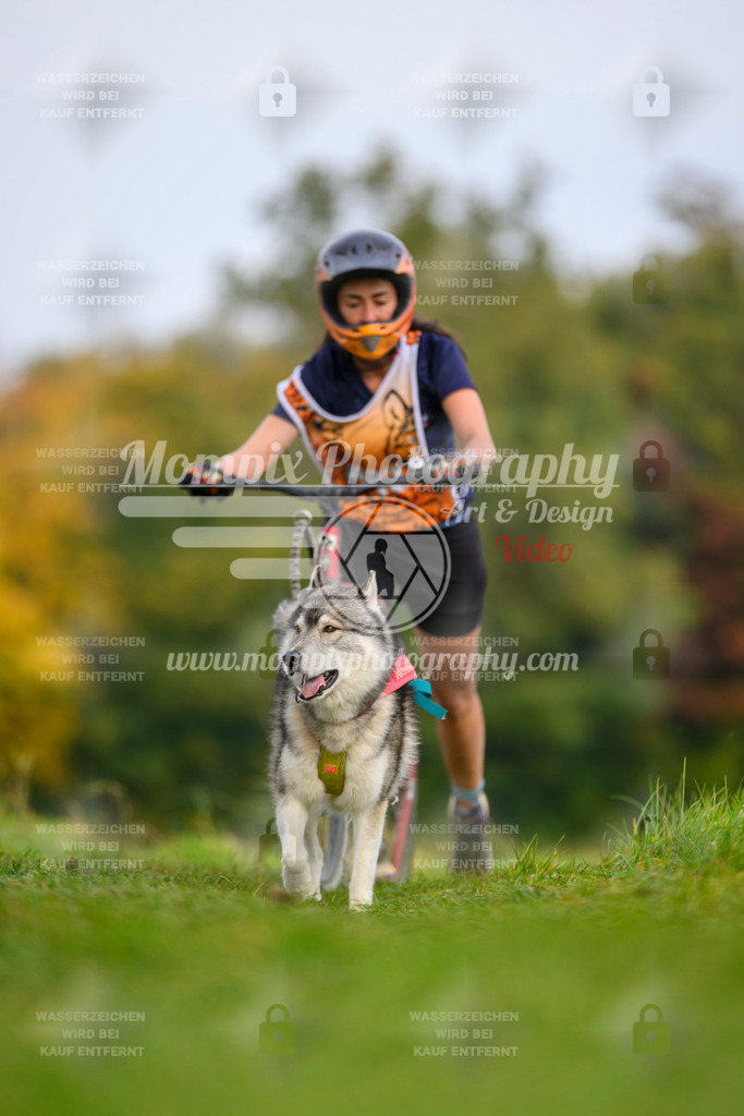 MompixPhotography_CDLBDB2025_DI_DS-100 | PayLife