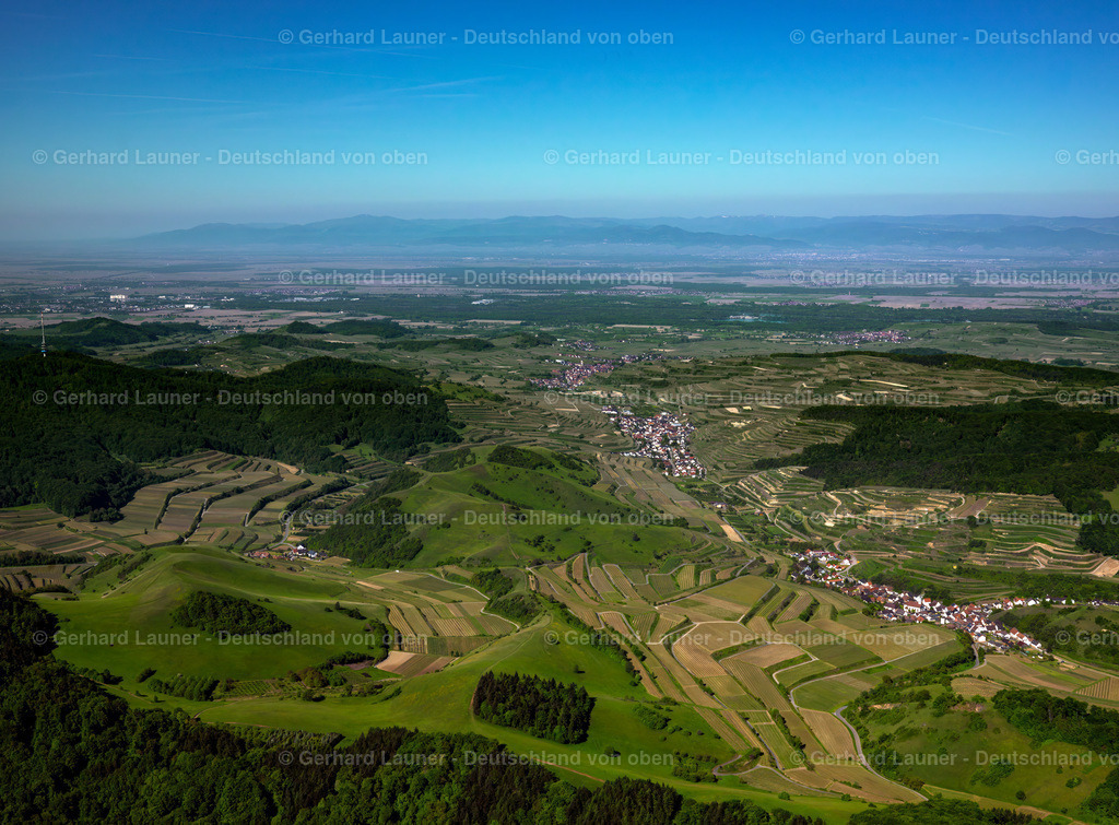 3096253 | Blick von Schelingen über den Kaiserstuhl in Richtung Südwesten auf die Vogesen