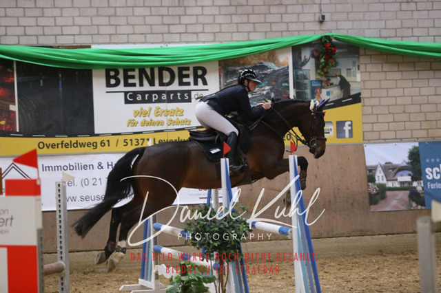 IMG_0728 | Turnierfotos kaufen im Webshop von Daniel Kuhl Photography – entdecke professionelle Reitsportfotos aus Turnieren & Events. Hochwertige Turnierbilder online bestellen & sichern. Jetzt Fotos von Reitsportturnieren kaufen!