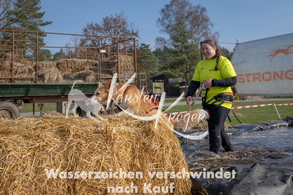 _ZZ90269 | kk-dogfotos