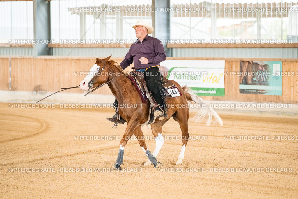 DSC01505 | Pferdegrafie