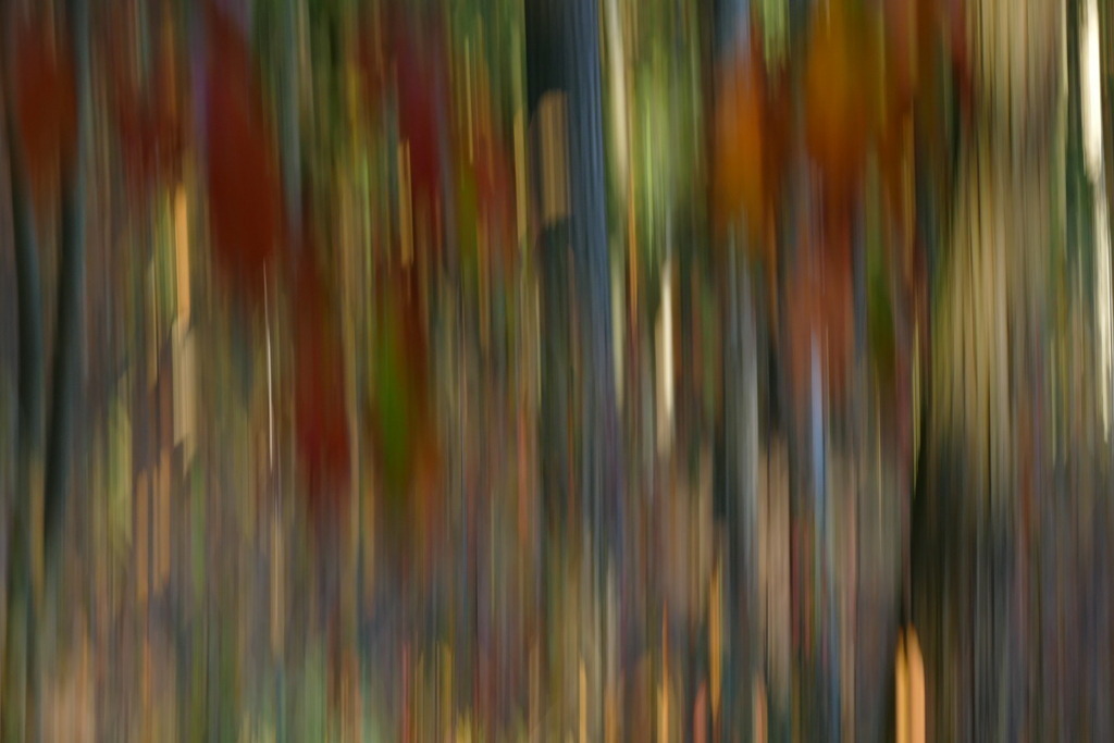 P4060149 | Annaeherungen - Realisiert mit Pictrs.com