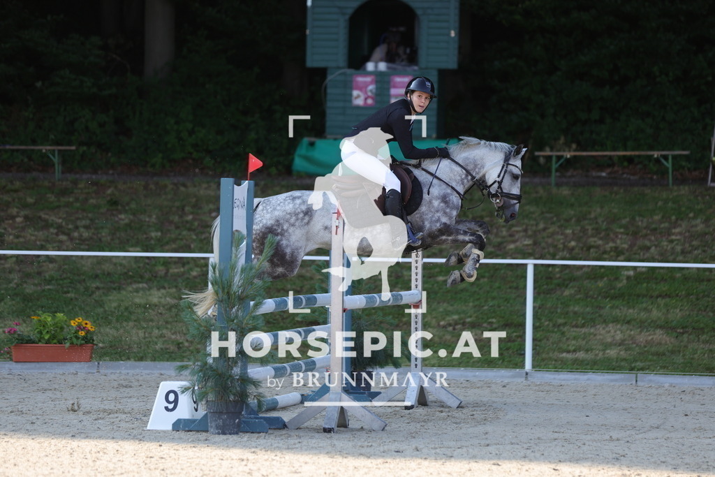 0P6A6588 | Willkommen bei Brunnmayr - Design & Fotografie – Ihrem Spezialisten für Reitturniere und Pferdeveranstaltungen in Oberösterreich, Salzburg und Bayern! Seit über 17 Jahren sind wir leidenschaftlich dabei.