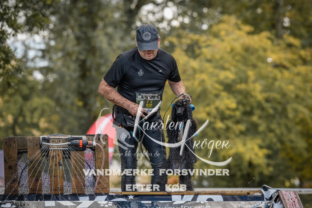 1531_ZZ94807 | kk-dogfotos