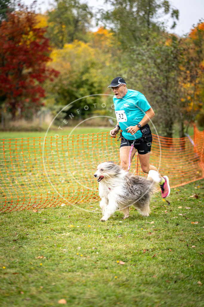 Pfotenfotografie_DV3A2200 | Hundefotografie, Tierfotograf, Pfotenfotografie, Fotoshooting Hund, Hunde Portrait, Hundesport, Hundeportraits, Heideshooting, Hunde, Sportfotograf, Hundefotograf, Turnierhundsport, THS,  - Realisiert mit Pictrs.com
