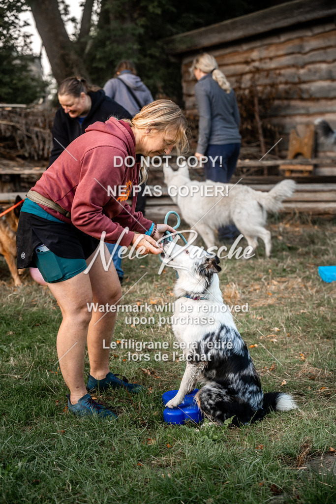 nelerasche_slaw24Sa_16 | nelerasche