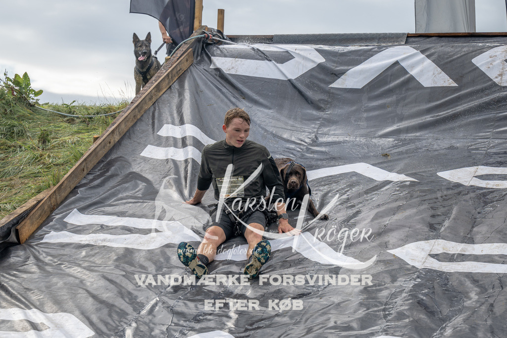 1134_ZZ92995 | kk-dogfotos