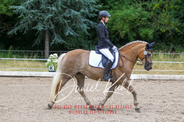 DKP47260 | Turniersportfotografie; Pferdefotografie; Dressurfotografie