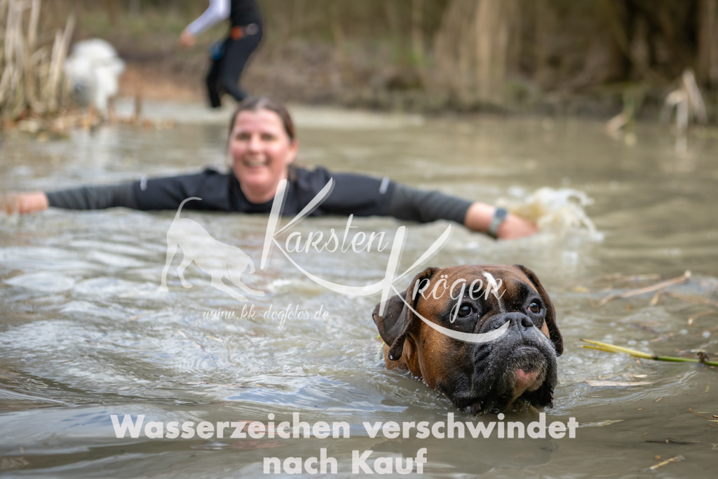 1557_ZZ94873 | kk-dogfotos