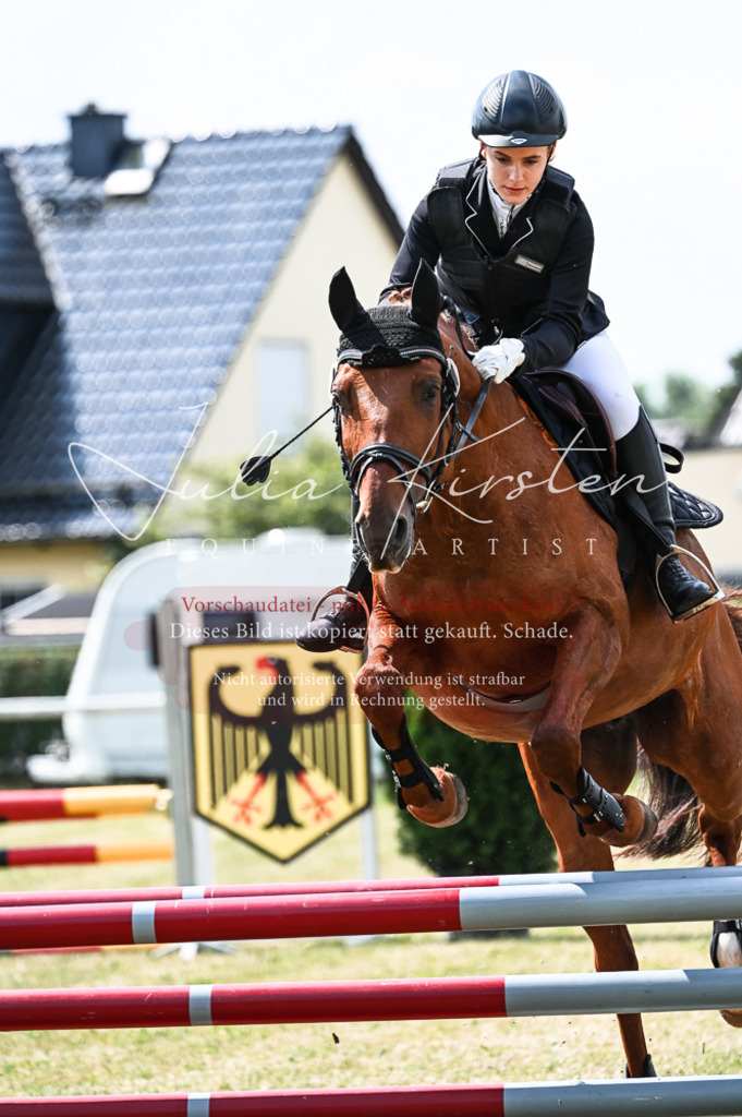 DSC_8833 | Pferde- und Turnierfotografie in Westsachsen. Pferdeportraits, Auftragszeichnungen und intuitive Kunst.