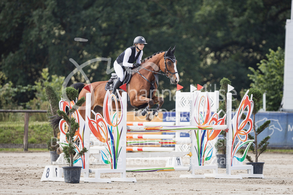 250629_PfSpTa_Stil-L2-328 | Deine schönsten Turniermomente als professionelle Fotos! Entdecke hochwertige Pferdesport-Fotografie im Online-Shop. Jetzt Fotos finden & bestellen!