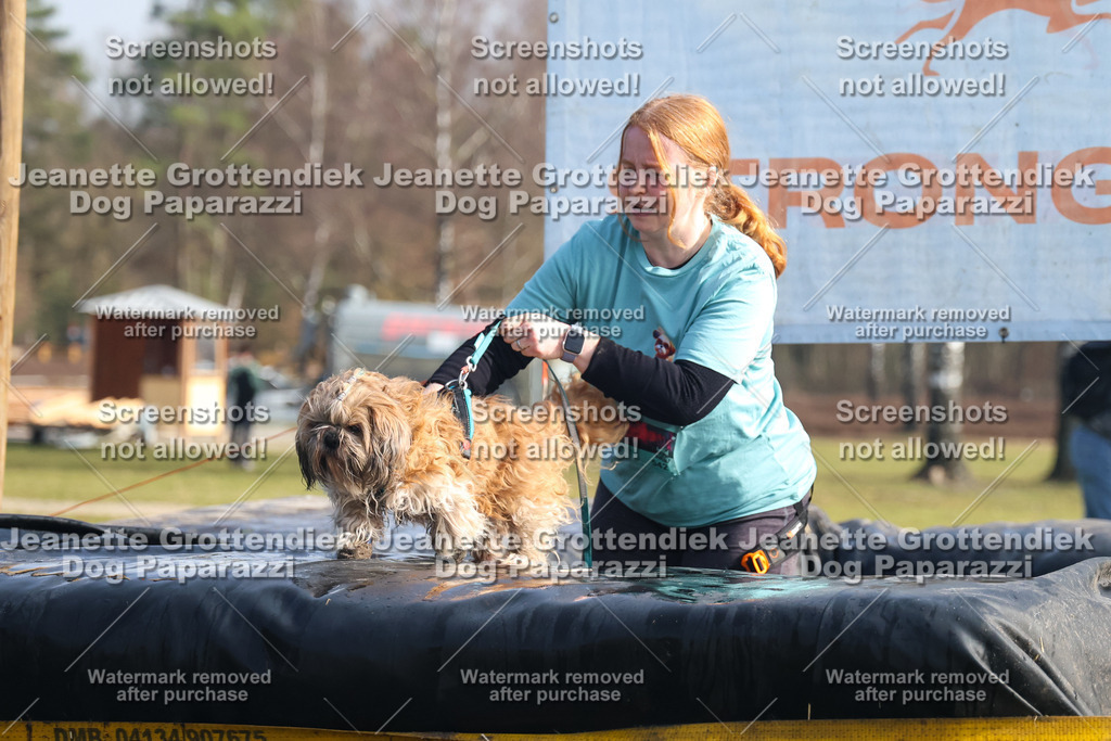 Dog Paparazzi - Strongdog North Mrz26-1566 | Dog Paparazzi Jeanette Grottendiek Fotografie & Videografie - Realisiert mit Pictrs.com