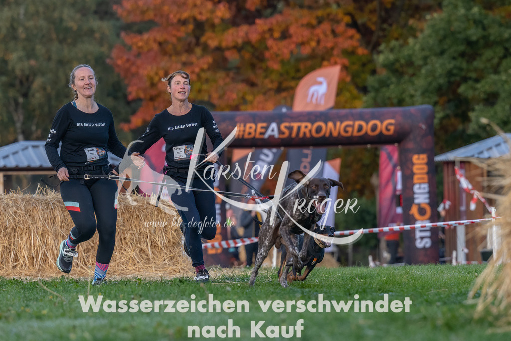 0848_ZZ91453-Bearbeitet | kk-dogfotos