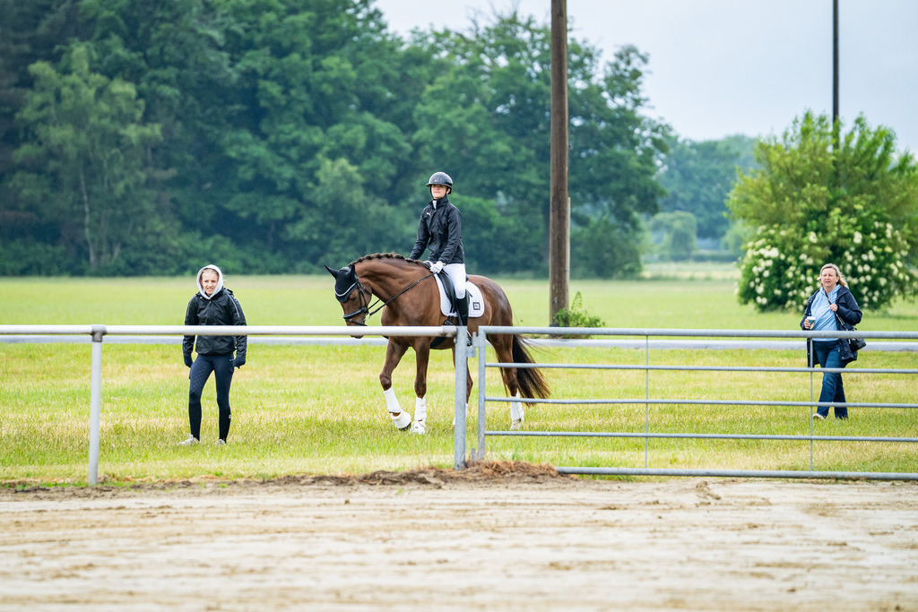 DSC01762 | Pferdegrafie