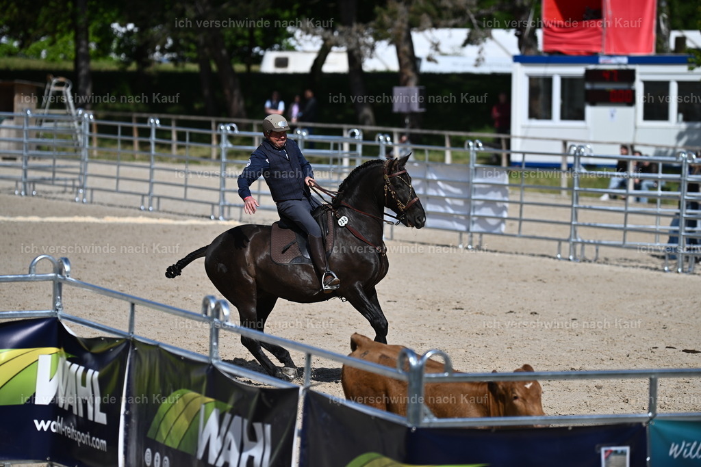 PI26_COW_Sara Landvogt226_7207.JPG | working equitationturnier fotograf videograf stoibphotography marixx film working equitation deutschland reitsport turnierfotografie eventfotografie equestrian events